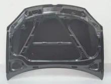 HOOD,BUMPER,MIRROR