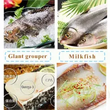seafood01