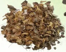 Palm kernel shell
