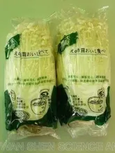 Enoki mushroom,Shiitake mushroom, King Oyster mushroom, Wood Ear and Buna Shimeji.  Recently, we managed to export the mushroom spawn bags