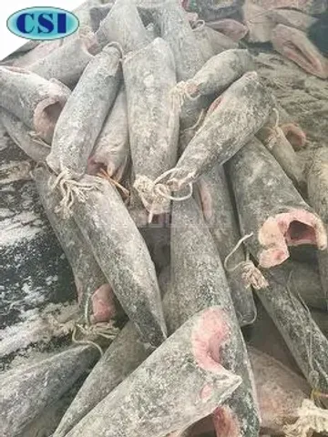 冷凍劍旗魚DWT/HGT 批發/加工