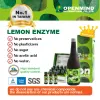  Lemon Enzyme drink