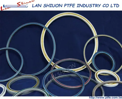 彈簧油封 Spring Energized Seals 