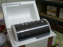 in coinroll, cassette, ingots, chunks, scrap, etc.
