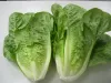 蘿蔓