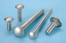 STAINLESS STEEL CARRIAGE BOLTS