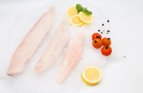 長鰭鮪魚塊/魚柳/腹肉/魚片 批發/加工