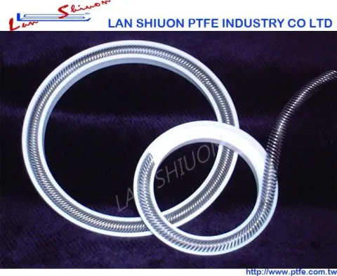 彈簧油封 Spring Energized Seals 