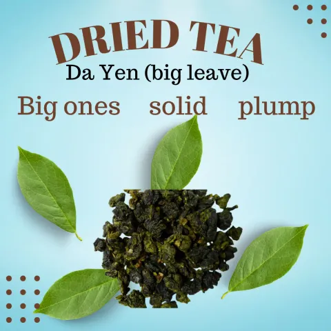 Thé Oolong Da Yen