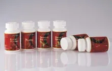 HERBright GOLD includes Reishi mushroom, Cordycep Mycelia, Green Tea, Turmeric