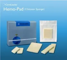 Chitosan sponge for hemostasis