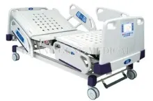 Vanguard Multifunction Electric Bed