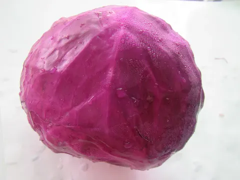 紫高麗菜