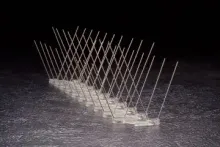 Stainless Steel Bird Spikes
