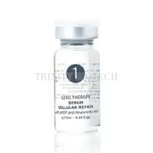 cellular_repair_1