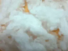 梳綿リサイクルポリエステル繊維の使用