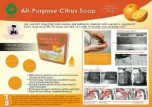 All-Purpose Citrus Soap