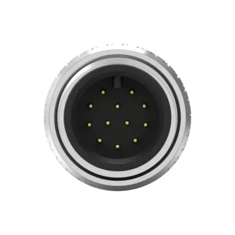 WP M12(M) 12PIN A-Coded Molded with Cable(Ground)