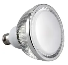 30W Dimmable PAR38 LED Lamp (Cree COB cool white 110D)