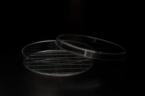 150*20mm Dish
