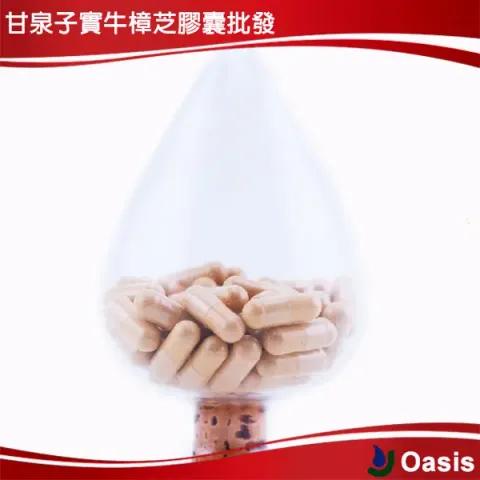 Health Care Antrodia Cinnamomea capsule wholesale