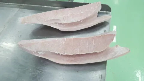 冷凍長鰭鮪魚柳/魚塊/板塊
