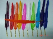Feather Pen
