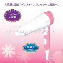 Professional Ion Care Hair Dryer