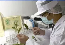 Germany Duff line 315 pesticide detection