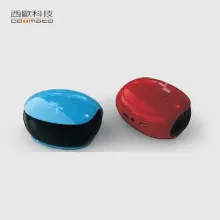 Bluetooth Speaker