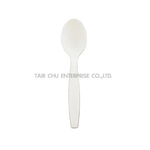 16公分 環保可分解 外帶餐具