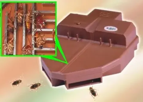 Electronic cockroach zapper discount