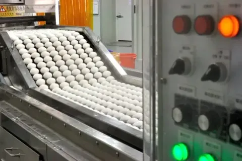 Hard Boiled Egg (hard boiled chicken egg, chicken egg)