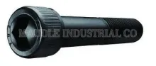 Hex Socket Head Cap Screw