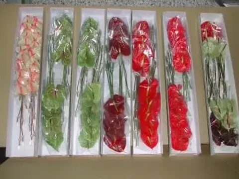 Anthurium cut flowers | Taiwantrade