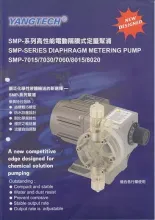 Mechanical Diaphragm Metering Pump