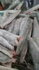 冷凍紅旗魚 DWT/HGT 批發/加工