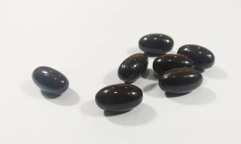 寵物卵磷脂（貓咪）