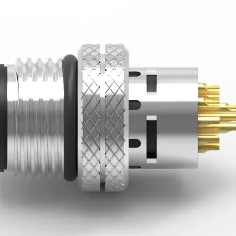 WP M12(M) 12PIN A-Coded Molded with Cable(Ground)