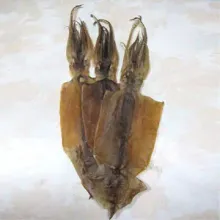 Sea Cucumber
