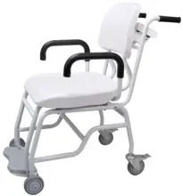 Chair Scale