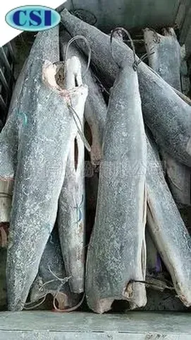 冷凍紅旗魚 DWT/HGT 批發/加工