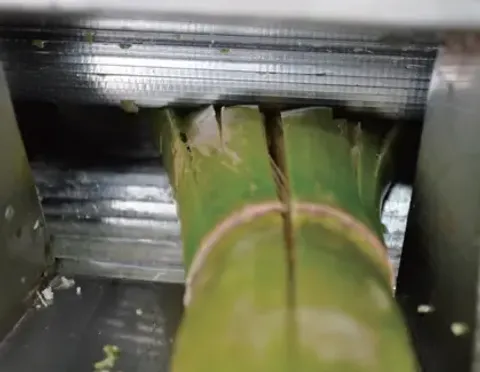 CP300 桌上型 甘蔗榨汁機