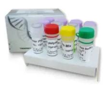 UniversAll™ Tissue Extraction/PCR Kit