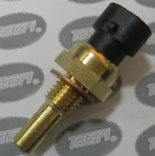 Water temperature switch
