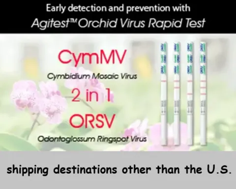 tobacco mosaic virus test kit Orchid Virus Rapid Test Kit - CymMV & ORSV (for shipping destinations other  than the U.S.)