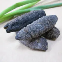 Sea Cucumber