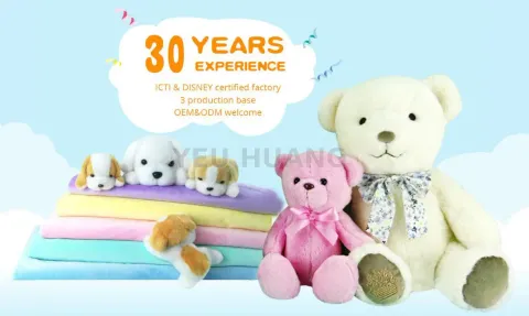 Plush teddy bear customized with T shirt