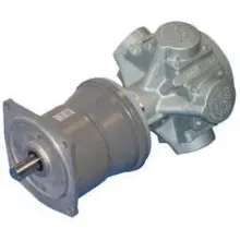 Piston Air Gear Motor (1 HP, Flange)
