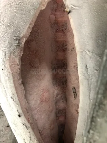 冷凍劍旗魚DWT/HGT 批發/加工